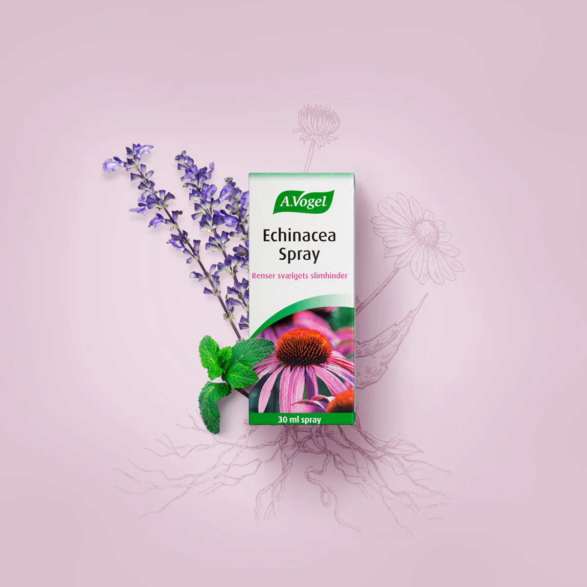 Echinacea spray - Image 2