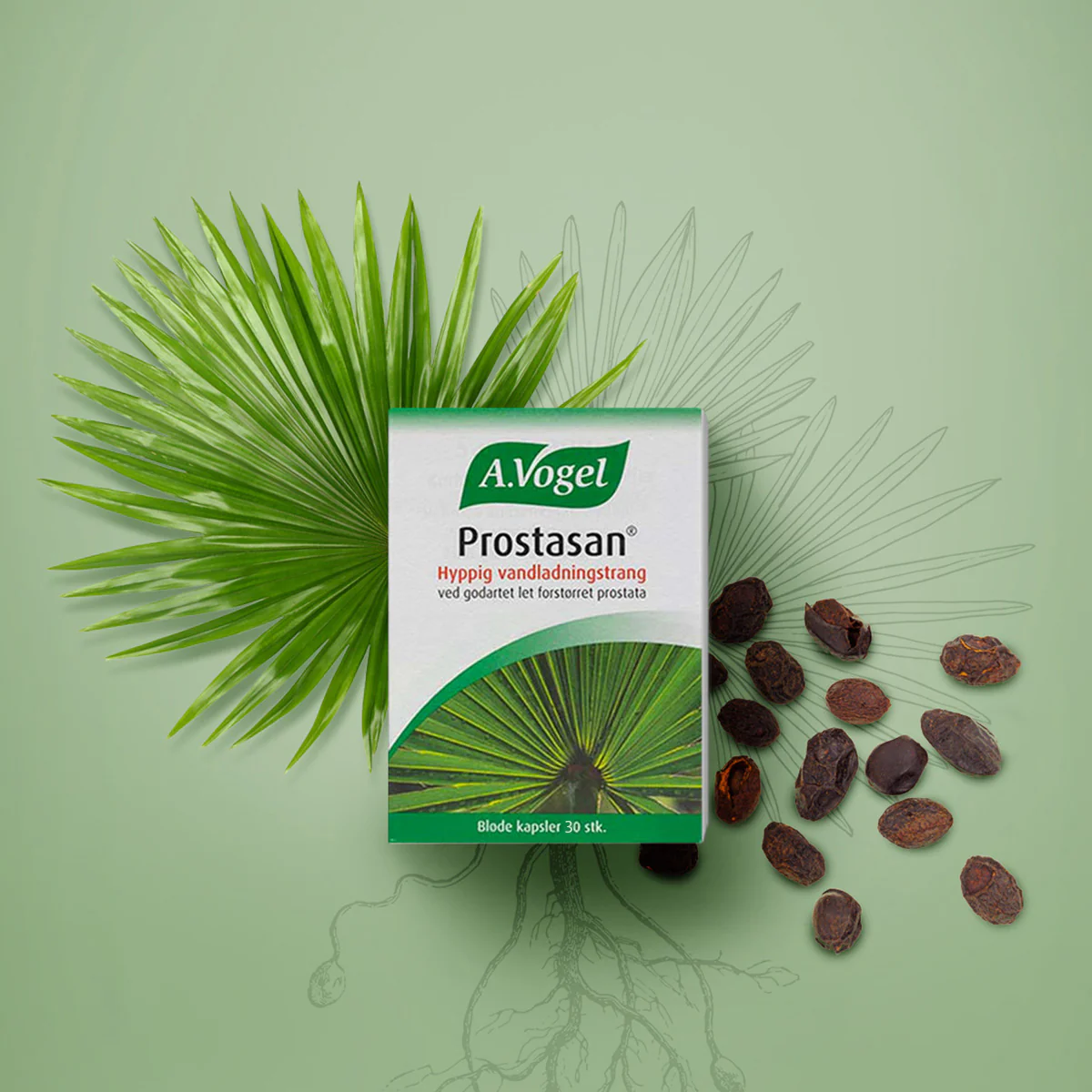 Prostasan - Image 2