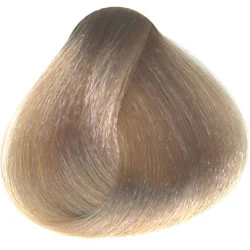 Miniaturebillede 1