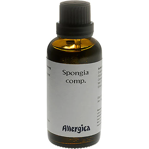 Spongia comp.